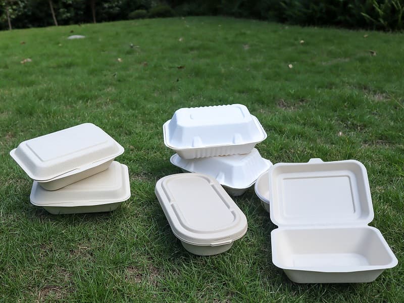 How to Import Bagasse Packaging from India